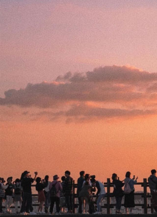 总裁每天都在病危小说小说