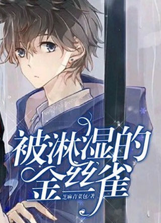 被淋湿的金丝雀。小说