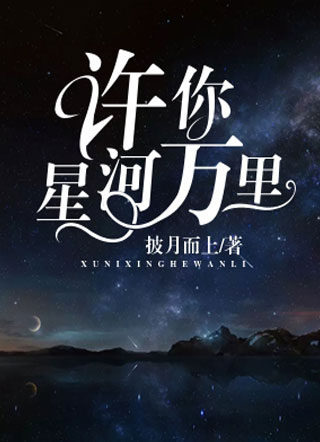 许你星河万里小说