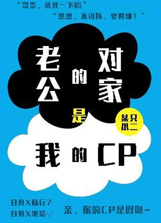 老公的对家是我的cp小说