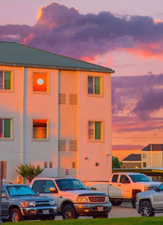 被我渣过的人变成沙雕小说