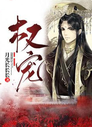 权宠小说