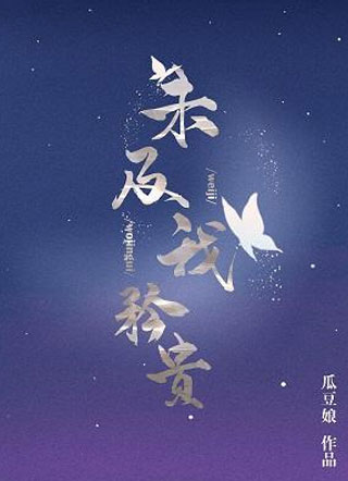 未及我矜贵小说