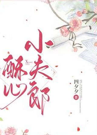 酥心小夫郎小说