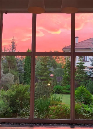 封先生的人鱼小娇夫·小说