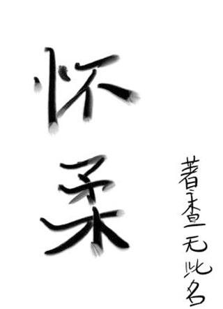 怀柔小说