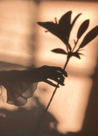 得绝症后前男友逃婚求复合小说