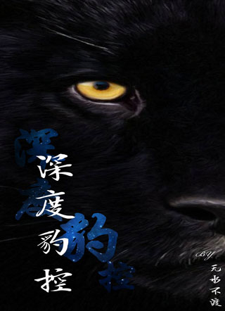 深度豹控小说