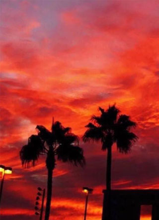 替身受假死之后~小说