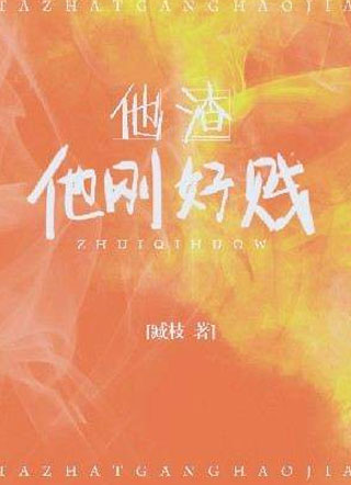 他渣他刚好贱小说