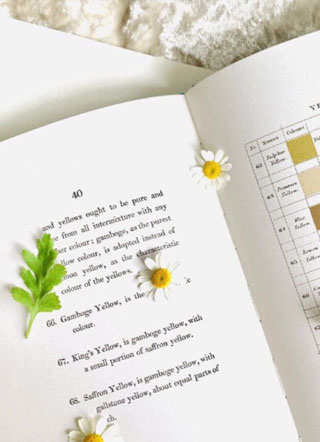 被霸道渣攻缠上的日子小说小说