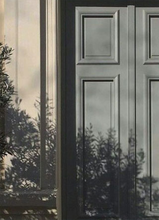 小说恶犬男友总爱对我炸毛小说