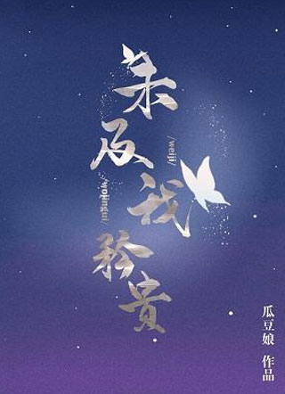 未及我矜贵小说小说