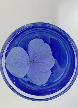 金主破产后我笑了小说小说