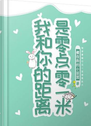 我和你的距离是零点零一米小说