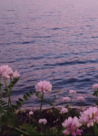 靠颜值带校草回家！小说