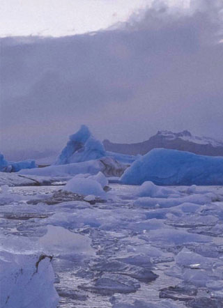 傅少的哑巴小人鱼又撒娇！小说