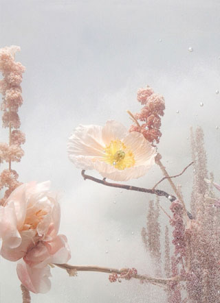 恶劣玩家小说小说