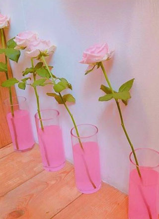 风起时想你小说小说