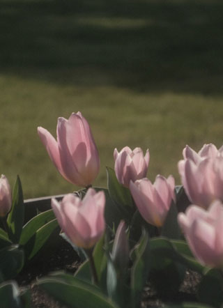 离开渣攻后拥有巨额分手费小说小说