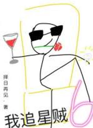 我追星贼6小说