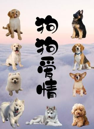 狗狗爱情小说