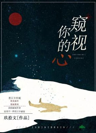窥视你的心小说