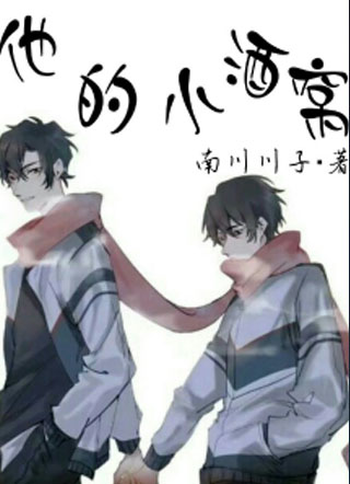 他的小酒窝小说