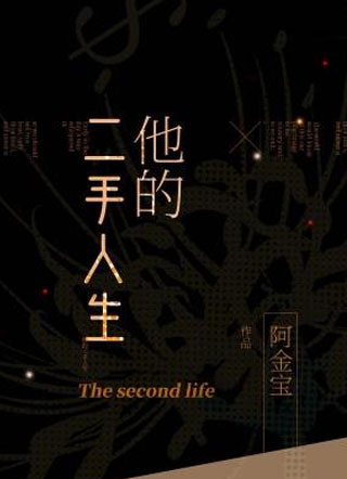 他的二手人生小说
