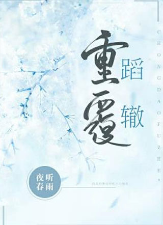 重蹈覆辙小说小说