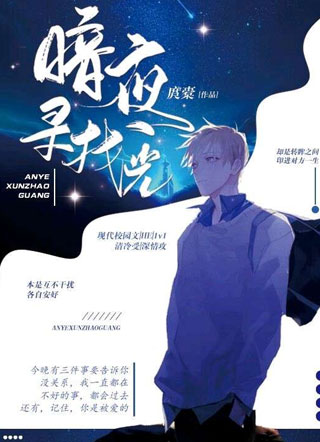 暗夜寻找光小说小说