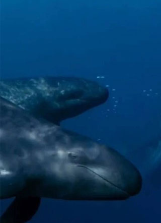 学坏by阿温的苹果小说