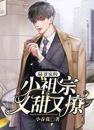陆少的小祖宗又甜又撩小说