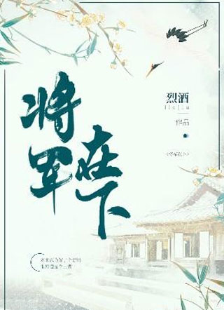 将军在下小说小说
