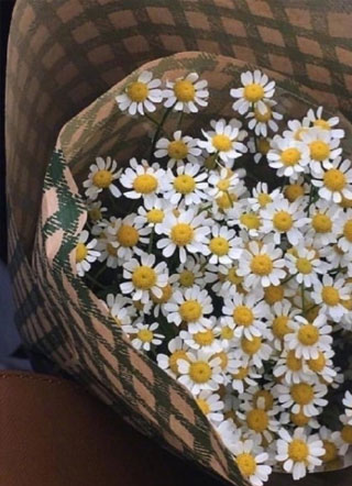 真的好喜欢你小说