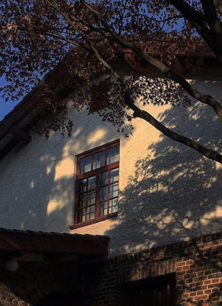 学长饶命别扯我裙子小说