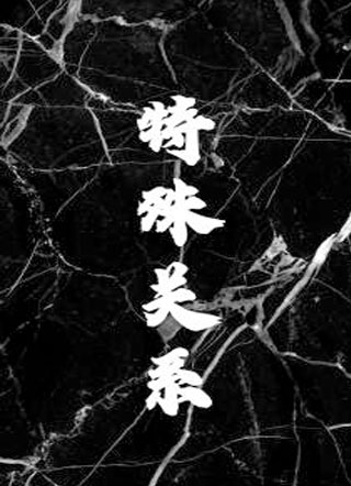 特殊关系小说小说