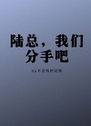 陆总，我们分手吧小说