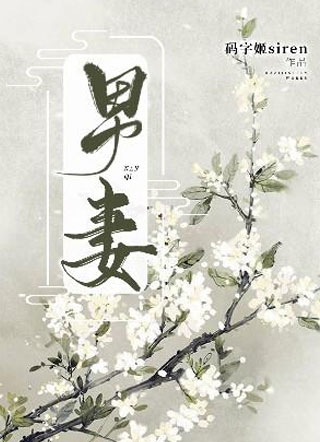 男妻小说