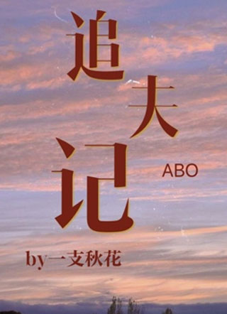 追夫记ABO小说