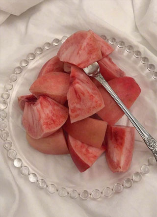 我和渣攻杠上了小说