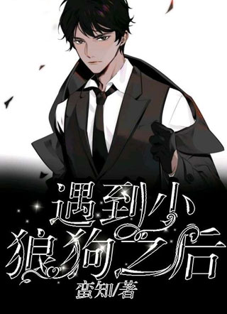 遇到小狼狗之后小说