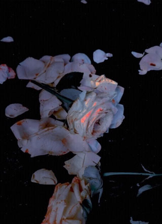 被迫和大佬针锋相对一片天空小说