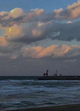 快穿之炮灰他美强惨国宝er小说