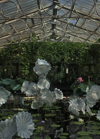 被迫和大佬争锋相对小说