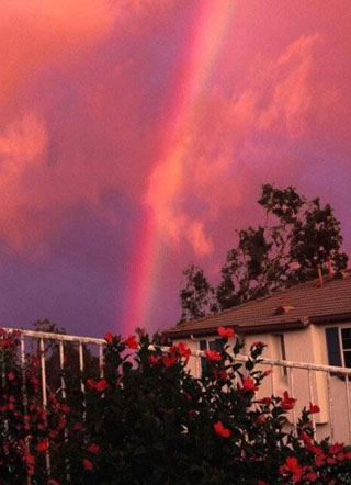 大佬养的小奶狗太甜了乔棠小说