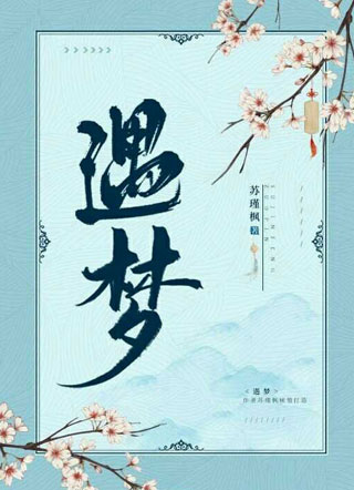 遇梦小说