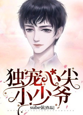 独宠心尖小少爷小说
