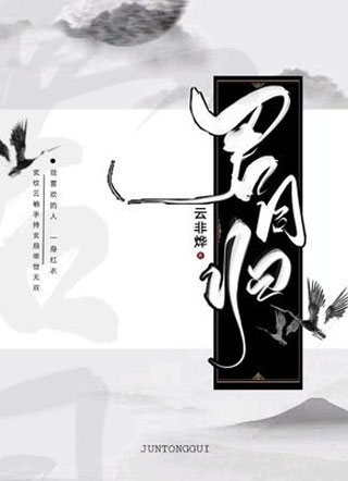 君同归小说