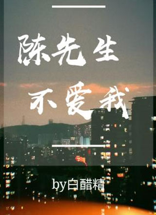 陈先生不爱我小说